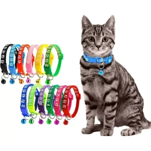 Cat Collar Belt